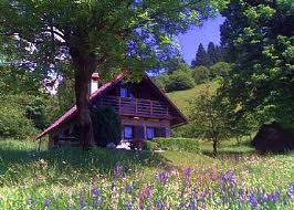Highly insulated rustic Eco-homes utilising sustainable, locally sourced materials giving warm and comfortable, low maintenance homes with low running costs and low carbon footprints. Properties can be finished with stone external walls or a mix of stone, wood and paint-rendered walls.